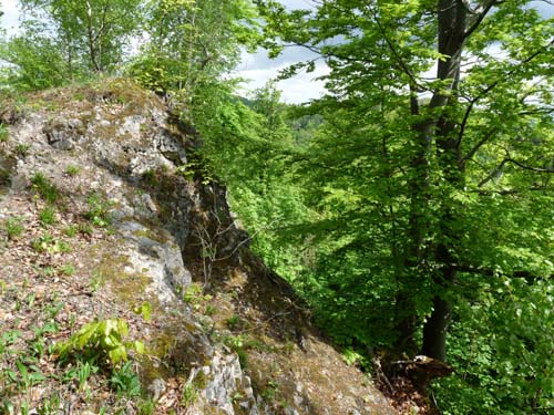 02-Steinkirche-Scharzfels-Einhornhoehle-048