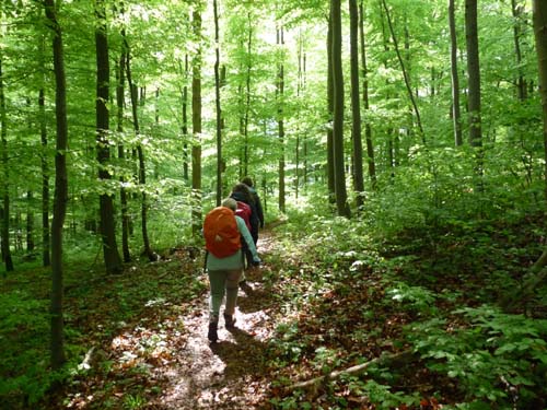 02-Steinkirche-Scharzfels-Einhornhoehle-049