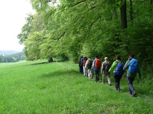02-Steinkirche-Scharzfels-Einhornhoehle-053