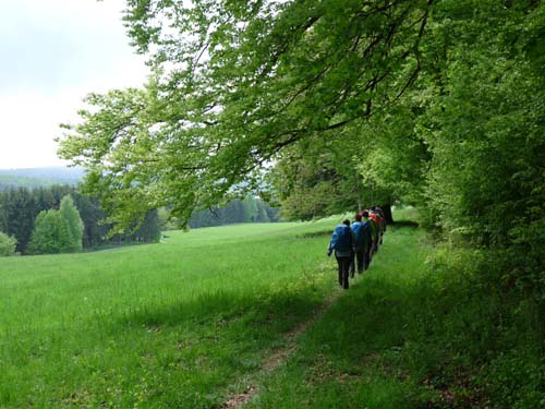 02-Steinkirche-Scharzfels-Einhornhoehle-054