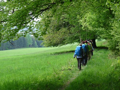 02-Steinkirche-Scharzfels-Einhornhoehle-055