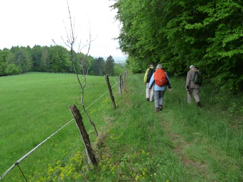 02-Steinkirche-Scharzfels-Einhornhoehle-056