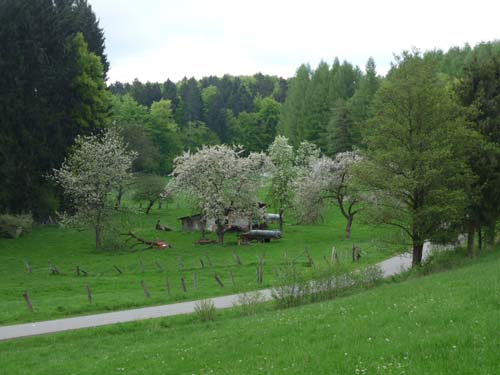 02-Steinkirche-Scharzfels-Einhornhoehle-057