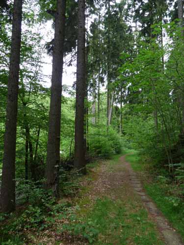 Steinkirche-Scharzfels-Einhornhoehle-021