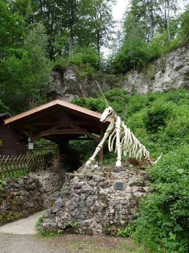 Steinkirche-Scharzfels-Einhornhoehle-043
