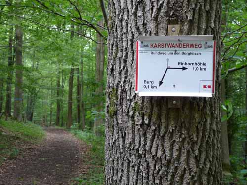 Steinkirche-Scharzfels-Einhornhoehle-050
