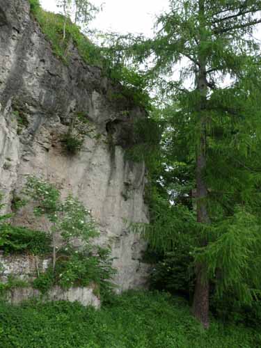 Steinkirche-Scharzfels-Einhornhoehle-069