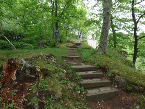 Steinkirche-Scharzfels-Einhornhoehle-077
