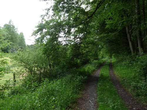 Steinkirche-Scharzfels-Einhornhoehle-088