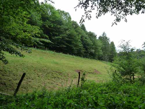 Steinkirche-Scharzfels-Einhornhoehle-089