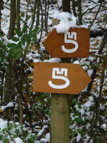 Muehlenberg-Sensenstein-121027-012