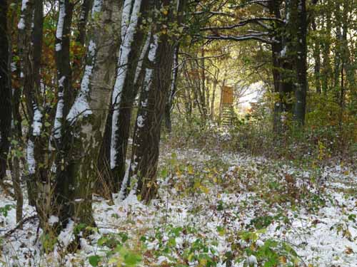 Muehlenberg-Sensenstein-121027-026