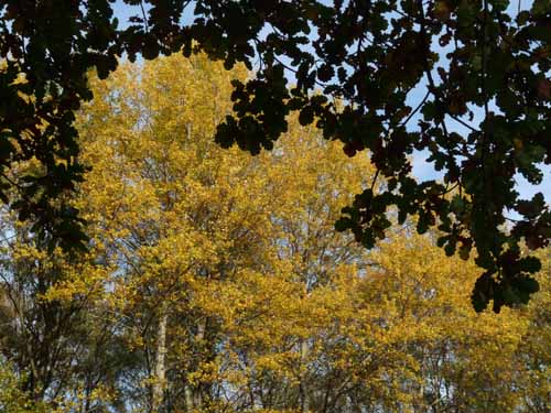 Muehlenberg-Sensenstein-121027-030