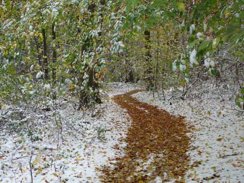 Muehlenberg-Sensenstein-121027-047