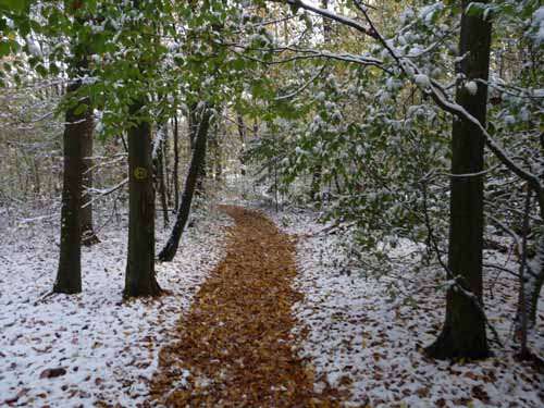 Muehlenberg-Sensenstein-121027-052