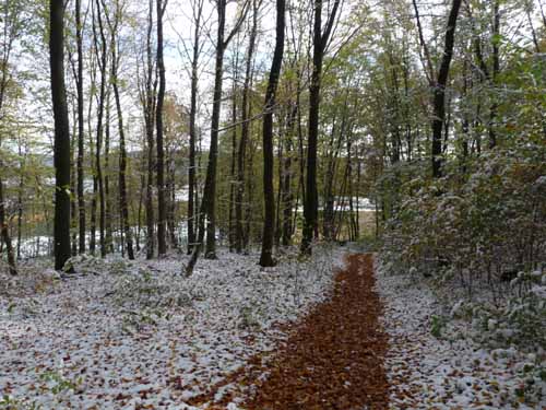 Muehlenberg-Sensenstein-121027-054
