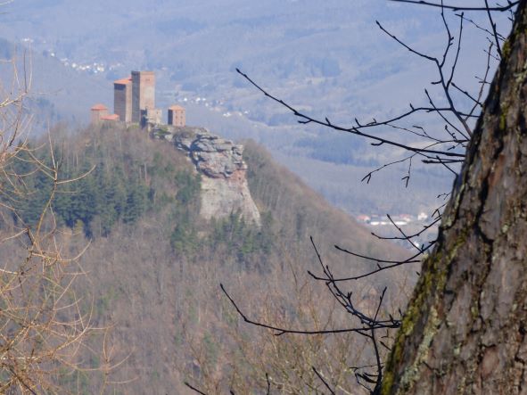 Wandern Pfalz