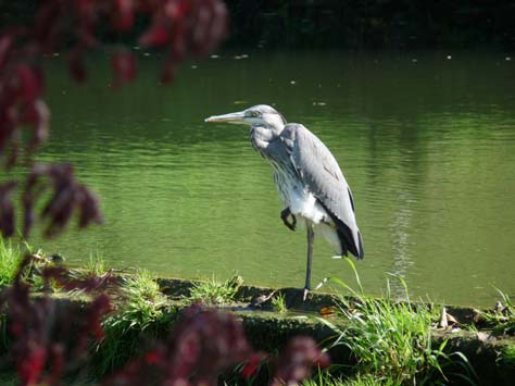 Tauberradweg-110902-554