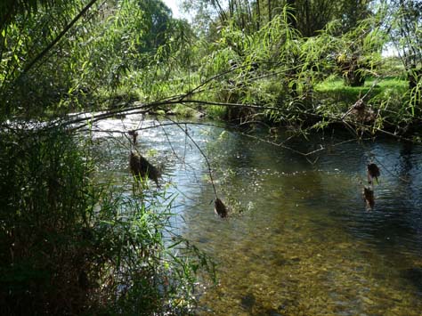 Tauberradweg-110902-556