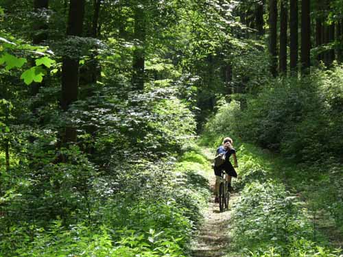 Radfahren: Hoher Meißner, Kaufunger Wald