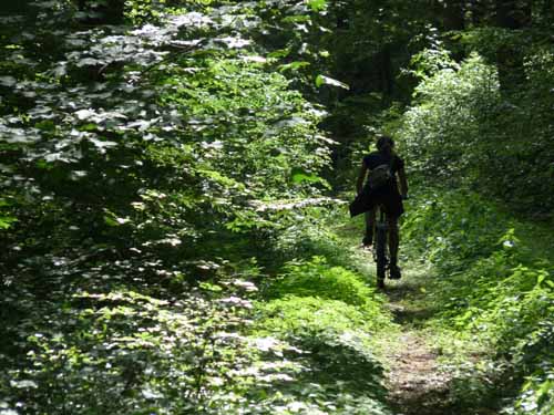 Radfahren am Hohen Meissner