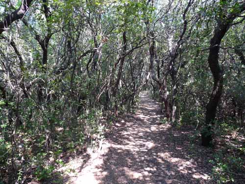 Cevennen_120906_137_Gard_Ceze_Nimes