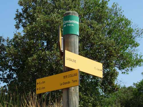 Cevennen_120906_138_Gard_Ceze_Nimes