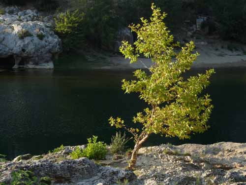 Cevennen_120906_177_Gard_Ceze_Nimes