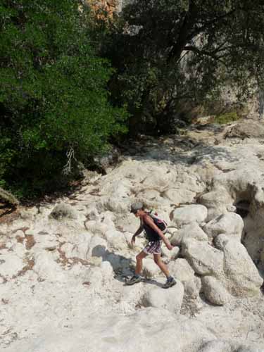 Cevennen_120906_291_Gard_Ceze_Nimes