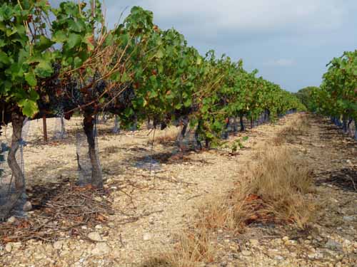 Cevennen_120906_372_Gard_Ceze_Nimes