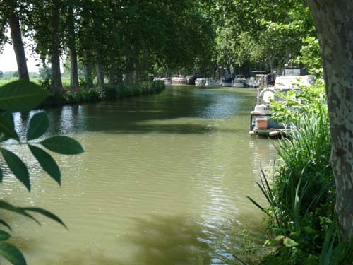 Languedoc_Canal-du-Midi-029