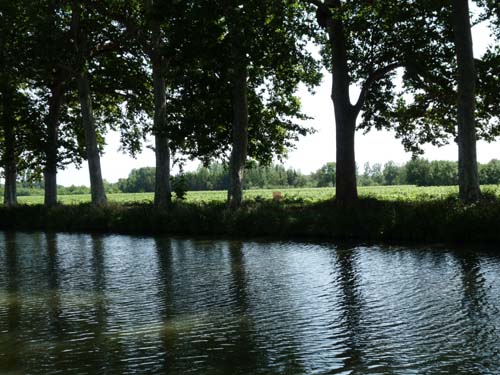 Languedoc_Canal-du-Midi-032