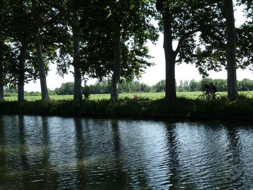 Languedoc_Canal-du-Midi-033