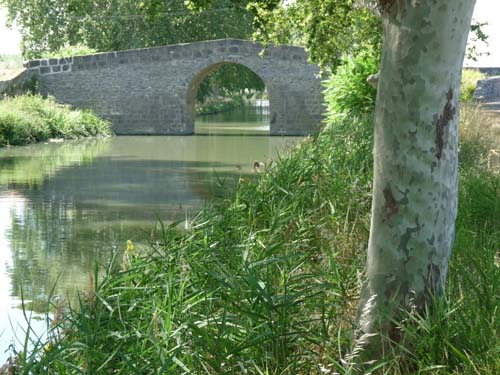 Languedoc_Canal-du-Midi-044