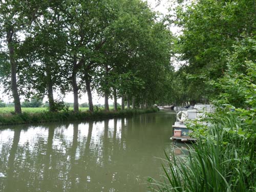 Languedoc_Canal-du-Midi-049