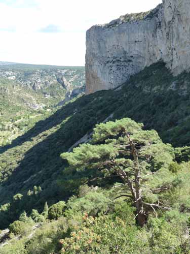 Cevennen_120906_522_Navacelles_Herault