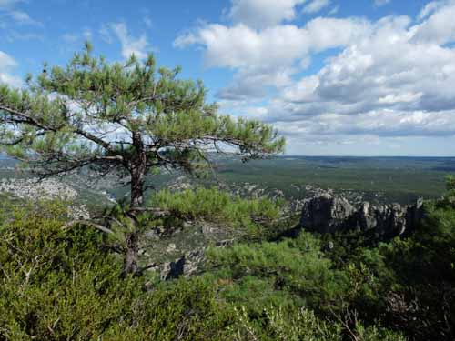 Cevennen_120906_545_Navacelles_Herault