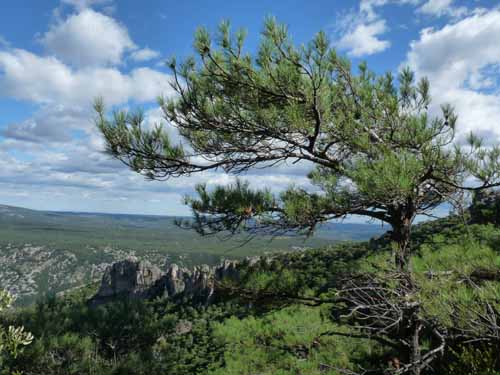 Cevennen_120906_546_Navacelles_Herault