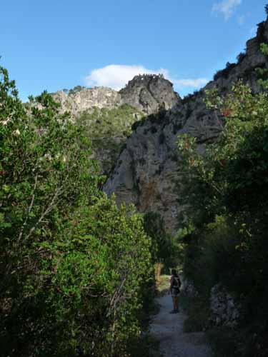 Cevennen_120906_564_Navacelles_Herault