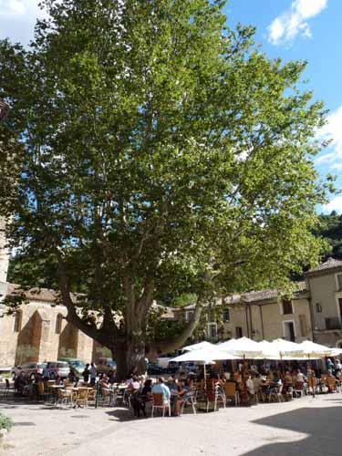 Cevennen_120906_579_Navacelles_Herault