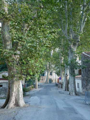 Cevennen_120906_665_Navacelles_Herault