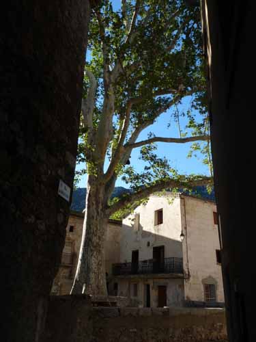 Cevennen_120906_670_Navacelles_Herault