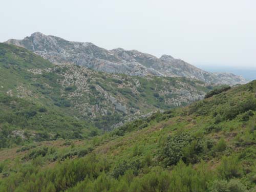 Provence_Les-Alpilles-009