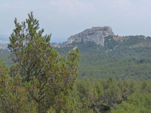 Provence_Les-Alpilles-010