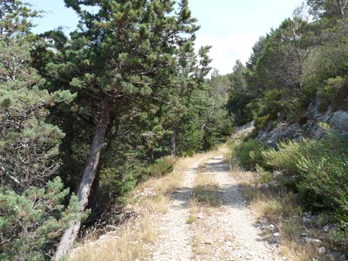 Provence_Les-Alpilles-021