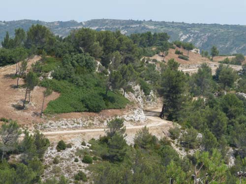 Provence_Les-Alpilles-023