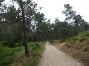 Provence_Les-Alpilles-006