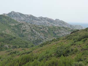 Provence_Les-Alpilles-009