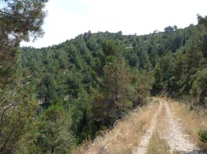 Provence_Les-Alpilles-018