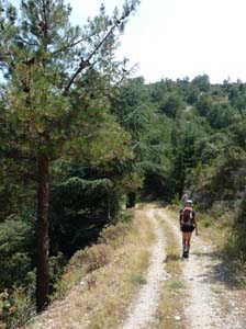 Provence_Les-Alpilles-020